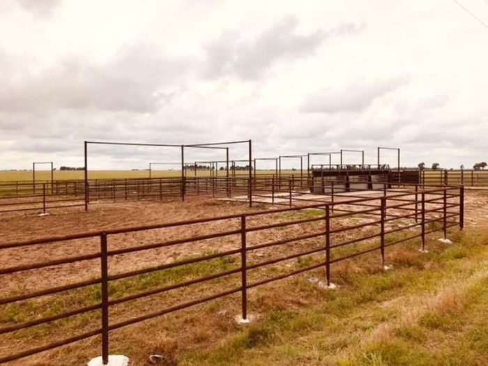 Ag Fencing for Cattle